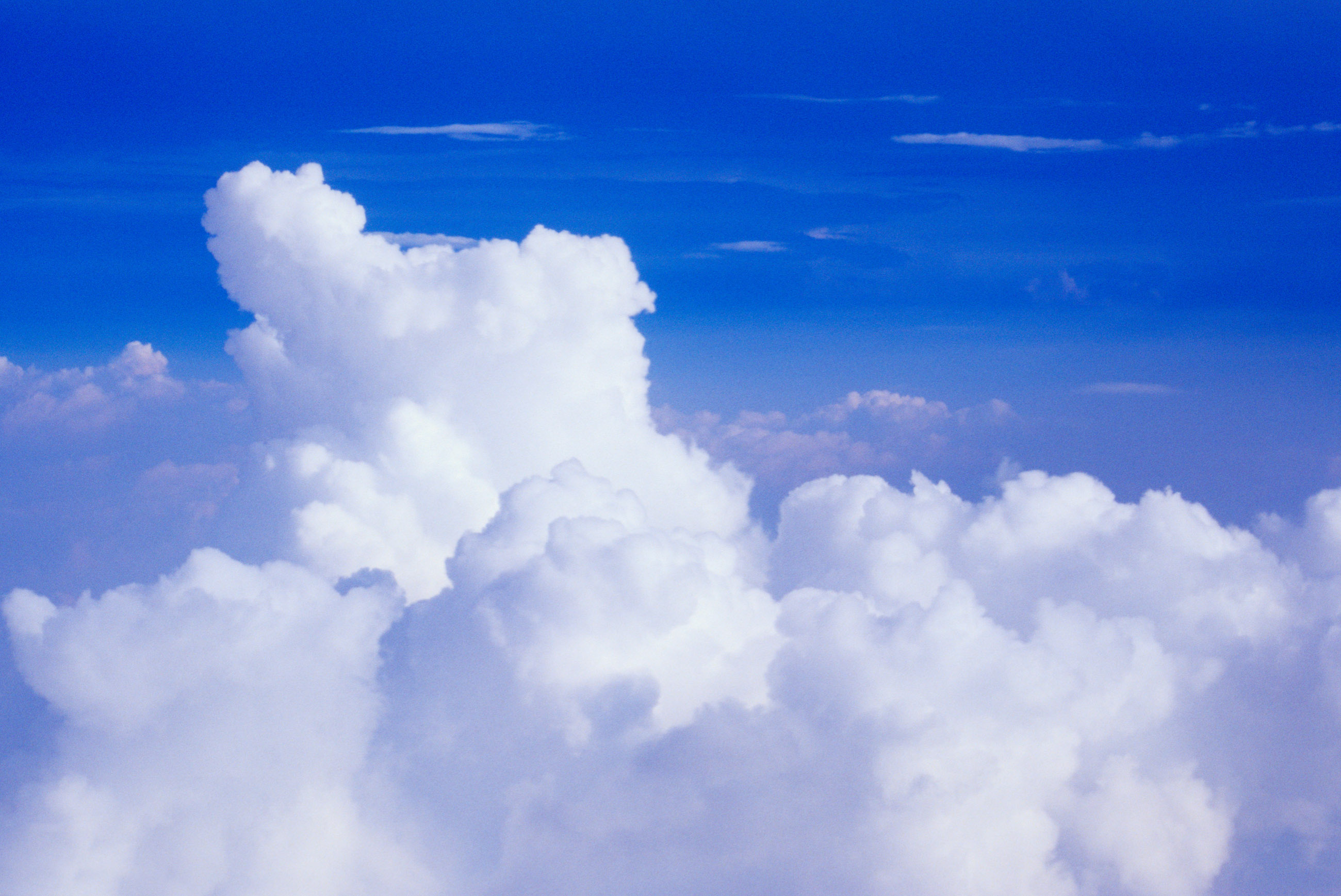 Podcast: SAP’s Industry Cloud Special Edition- Consumer Products