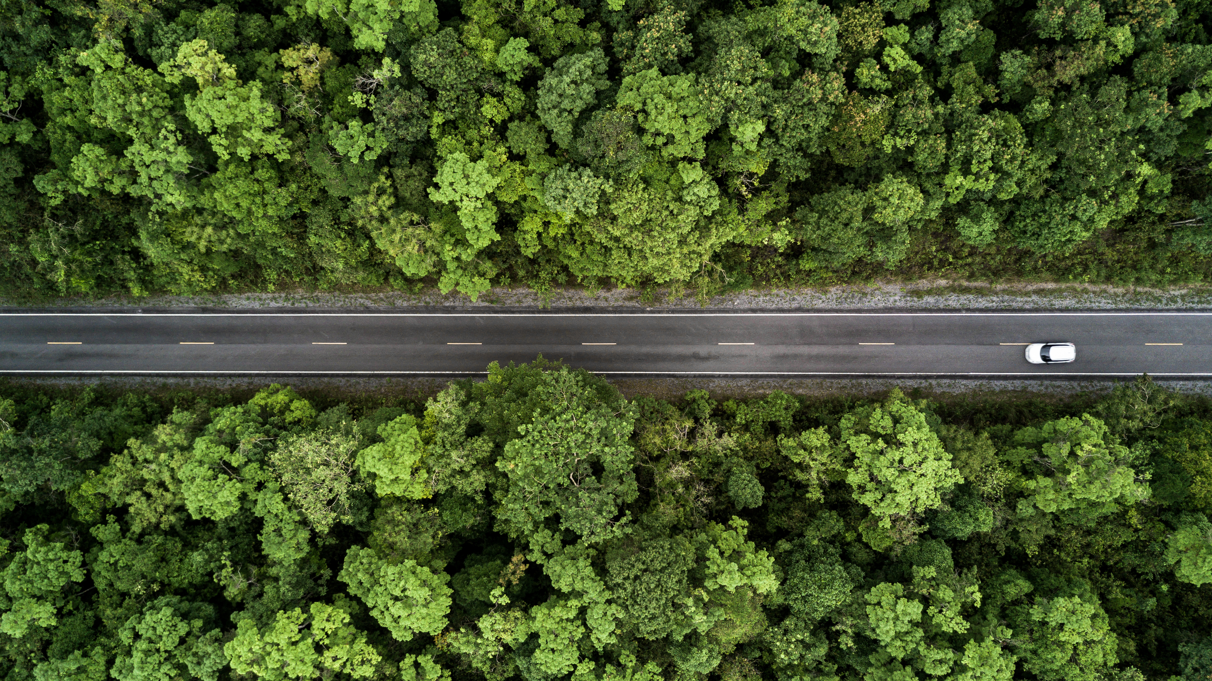 SAP.iO recherche des startups AgTech & GreenTech pour ses deux nouveaux programmes d’accélération