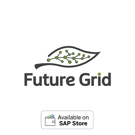 Future Grid
