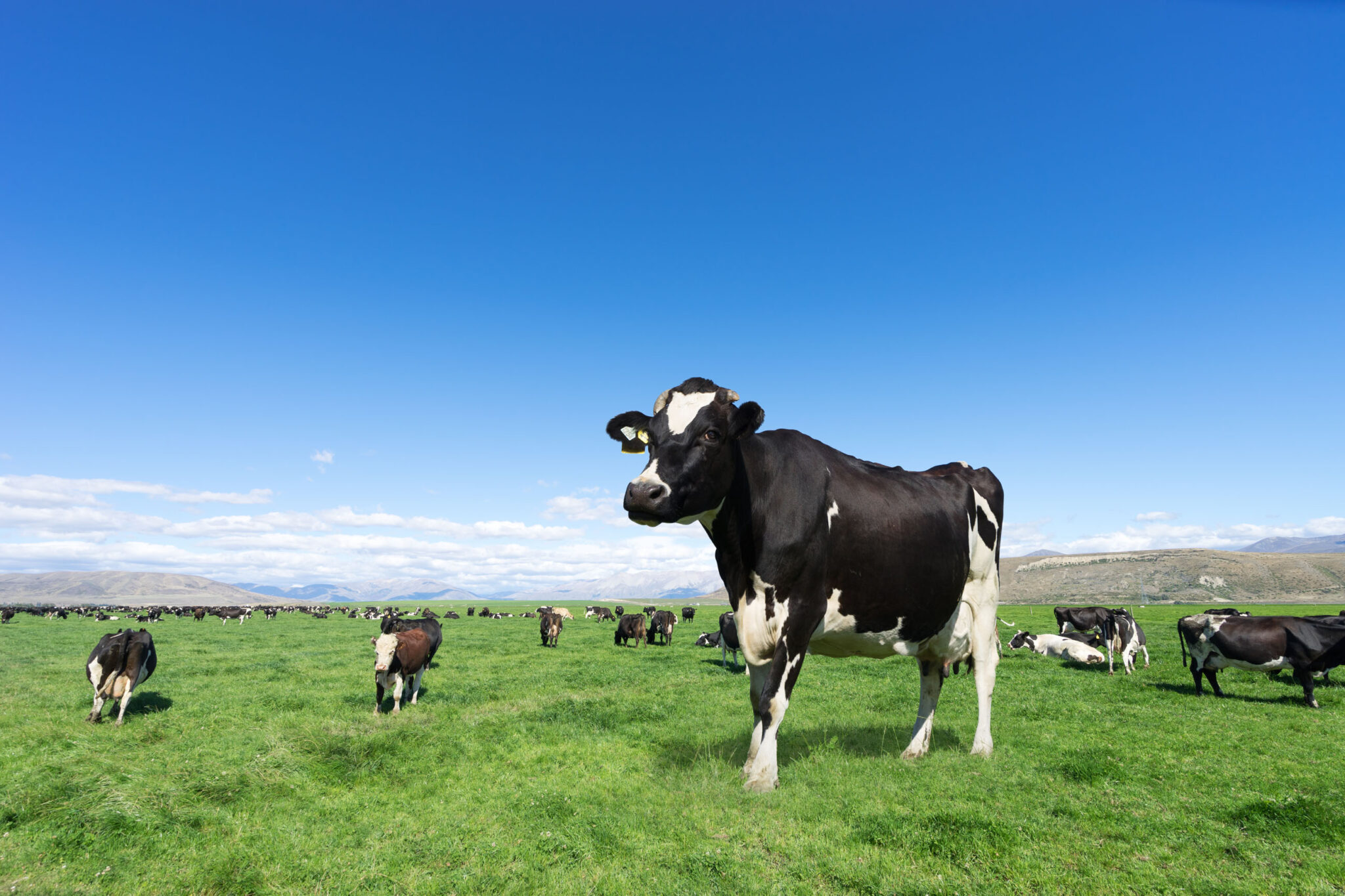 Milk Moovement Raises $20 Million USD To Transform the Dairy Industry’s Supply Chain